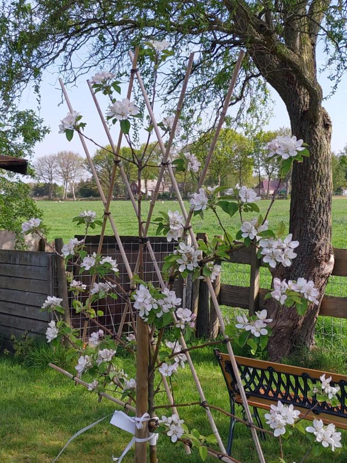 Boven de Wol Bed and Breakfast Appelscha Buitenkant foto